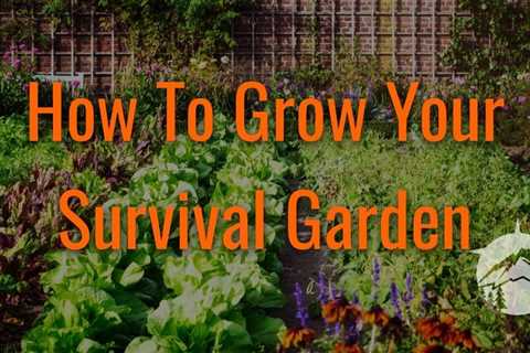 How To Grow Your Survival Garden