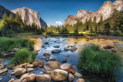 Yosemite Camping Reservations