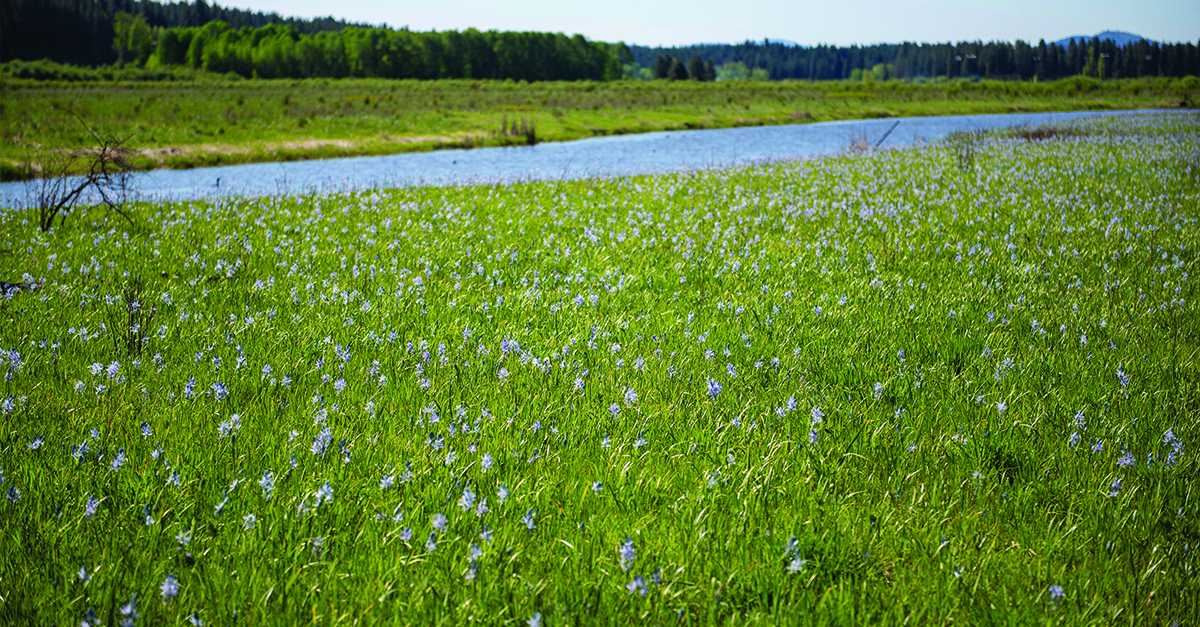 Embrace Your Adventurous Side in Cusick, Washington!