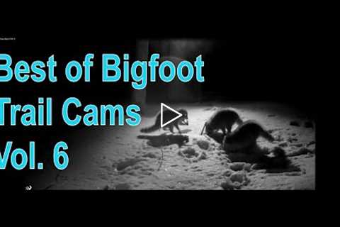 My Bigfoot Story Ep. 130 - Bigfoot Trail Cams Best of Vol. 6