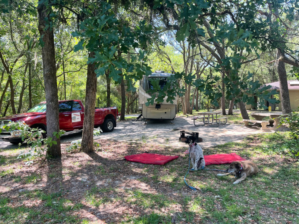 How to Find Dog-Friendly Campgrounds