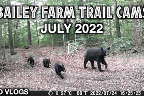 Bailey Farm Trail Cams July 2022