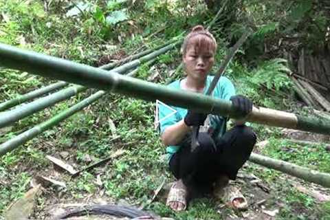 Full Video: 1 month Building Warm Survival Shelter, Bushcreaft Hut | Bushwalking in the woods