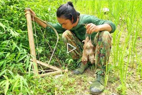 Rats destroy my upland rice, survival alone, survival instinct