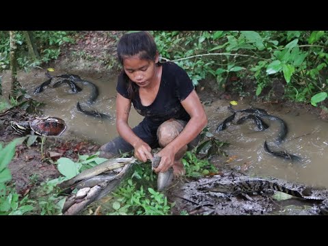 Adventure in forest How to Find Food , Cooking and Eating Food in forest | Primitive Survival Skills