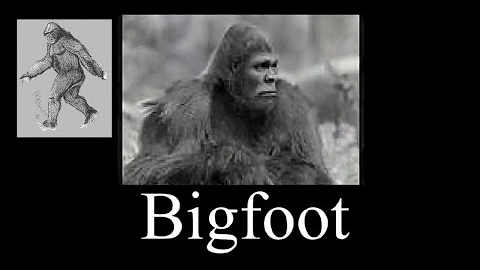 Bigfoot- video & audio doc compilation