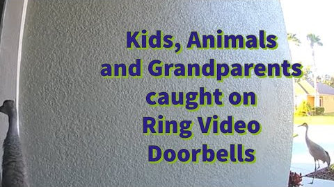 Kids, Animals and Grandparents caught on Ring Video Doorbell #ringvideodoorbell #caughtoncamara