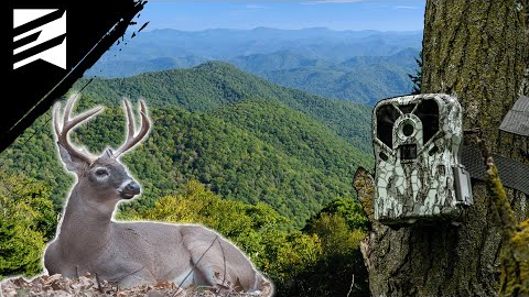 Public Land Trail Camera Sets - Appalachia Card Pull!