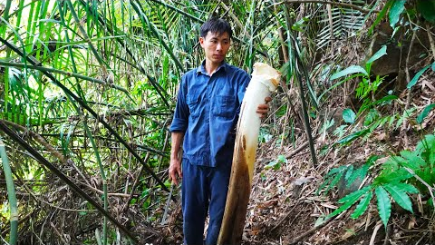 Survival Skills In The Rainforest, Bushcraft Survival, Primitive skills - #16