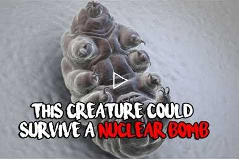 These Creatures Could Survive A Nuclear Bomb!