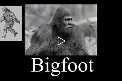 Bigfoot- video & audio doc compilation