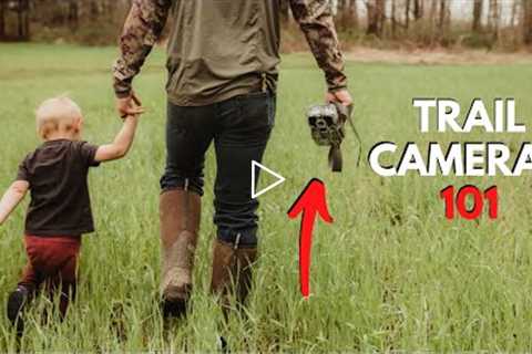 5 Trail Camera Tips For Beginners