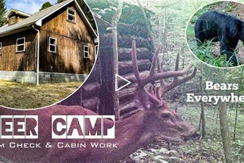DEER CAMP Trail Cam Check | Bears Everywhere! | SBO LIVE MINISODE #122