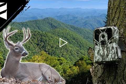 Public Land Trail Camera Sets - Appalachia Card Pull!