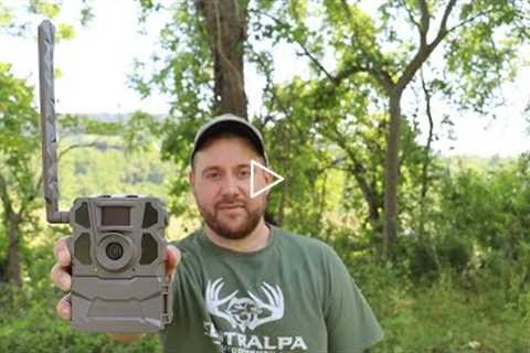 Tactacam Reveal X Trail Camera Review (With Photos)