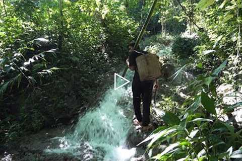 Build a beautiful hut by the small waterfalls, survival in the tropical rainforest, episode 211