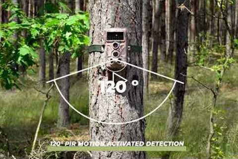 BLAZEVIDEO TRAIL CAMERA A262