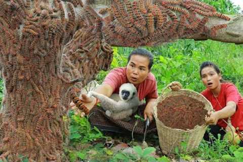 Survival skills-Man with womans found worms on the montain for cook -Eating delicious