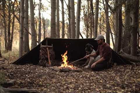 Solo Camping with my Puppy - Half Tent Shelter, Camp Cooking, Bushcraft Skills, Canadian Wilderness