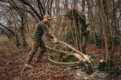 Bushcraft Skills: 1000 Year Old Traditional Technique | Hedge Laying | Axe, Saw, Billhook