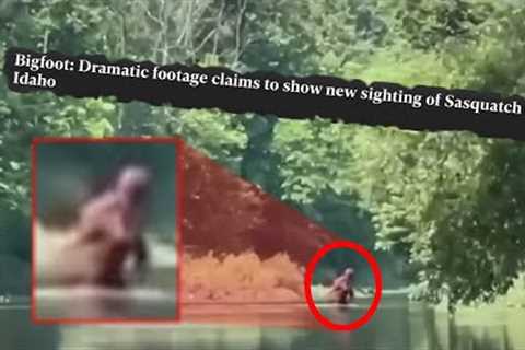 20 SHOCKING Bigfoot Sightings & Encounters That Will Keep You OUT The Woods...