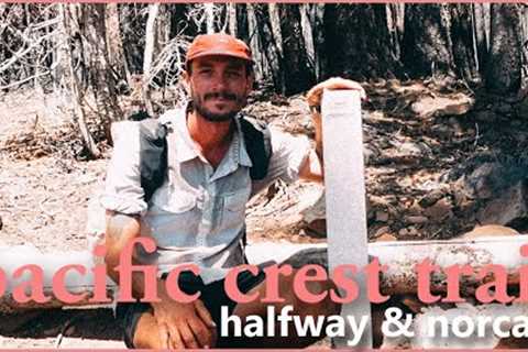 Halfway, 1,325 Miles in 46 days - Pacific Crest Trail ep.10