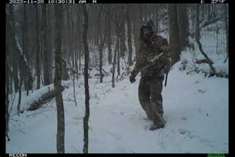 ADK Trail Cameras Public Land Part II