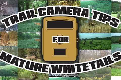 Don Higgins - Trail Camera Tips for Mature Whitetails