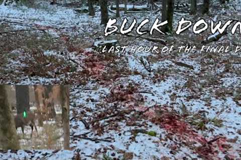 Buck Down! Final Moments Caught on Trailcam ~ **Warning Graphic**