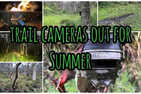 State Forest Deer Hunting || Setting up Trail Cameras on the Wallow for the Summer, Dsoon