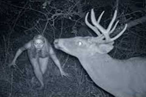 Trail Cam Captured What No One Was Supposed To See