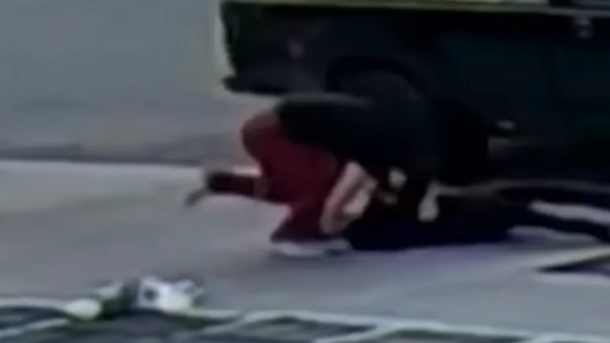 Surveillance video captures the moment California teen violently steals puppy