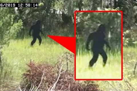 Most Disturbing Creatures Caught on Trail Cam 2023