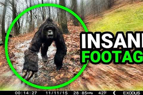 HUGE PREDATOR WALKS ON HIDDEN TRAIL CAM!