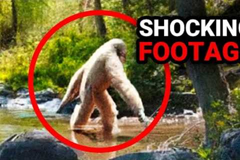 Shocking Trail Cam Footage You Should Avoid Watching