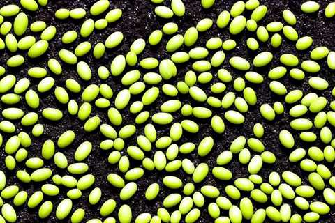 Master the Art: How Often to Water Sprouting Seeds