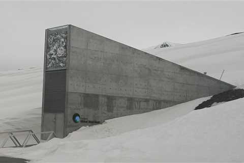 The Seed Vault: A Safe Haven for Our Agricultural Heritage