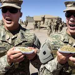 Fuel Your Body and Mind with Our Military MRE for Sale Today