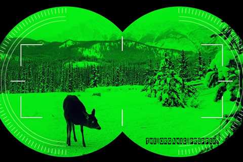 Using Night Vision to Procure Food