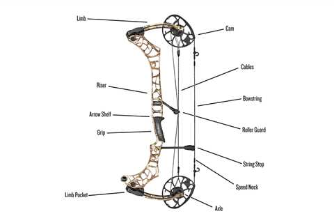 Parts of a Compound Bow