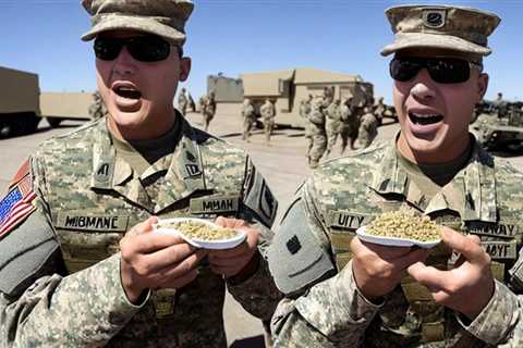 Fuel Your Body and Mind with Our Military MRE for Sale Today