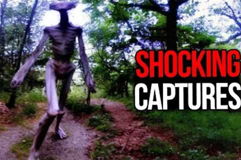 Most INTENSE Trail Cam Captures That Leaves You Speechless