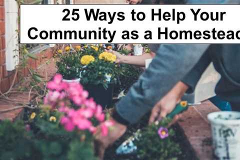 25 Ways You Can Help Your Community as a Homesteader