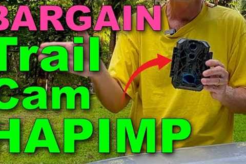 Trail Camera Review: HAPIMP Trail Cam (Bargain)
