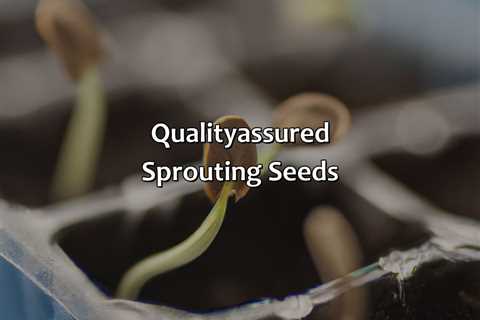 Quality-Assured Sprouting Seeds