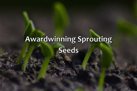 Award-Winning Sprouting Seeds