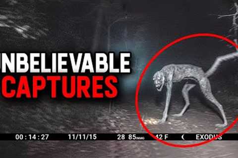 Trail Cam Footage That Will SHOCK You