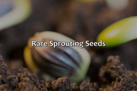 Rare Sprouting Seeds