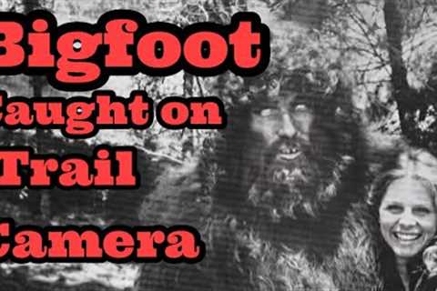 Bigfoot Caught on a Trail Cam in Minnesota