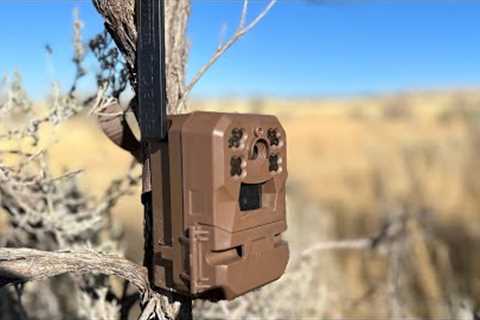 Moultrie Mobile Edge Cellular Trail Camera Review